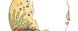 FH GN Logo round no Text